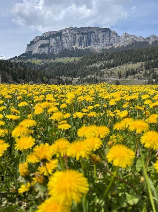 Wohnung Mit Fantastischer Aussicht Trin Экстерьер фото
