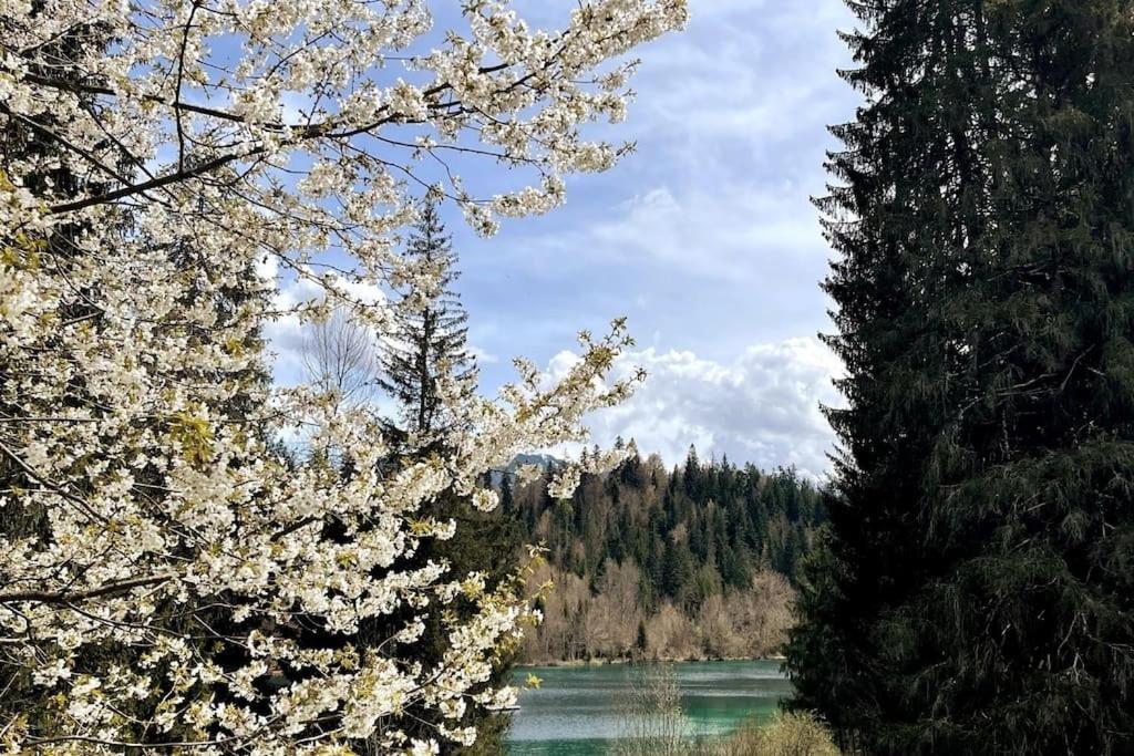 Wohnung Mit Fantastischer Aussicht Trin Экстерьер фото